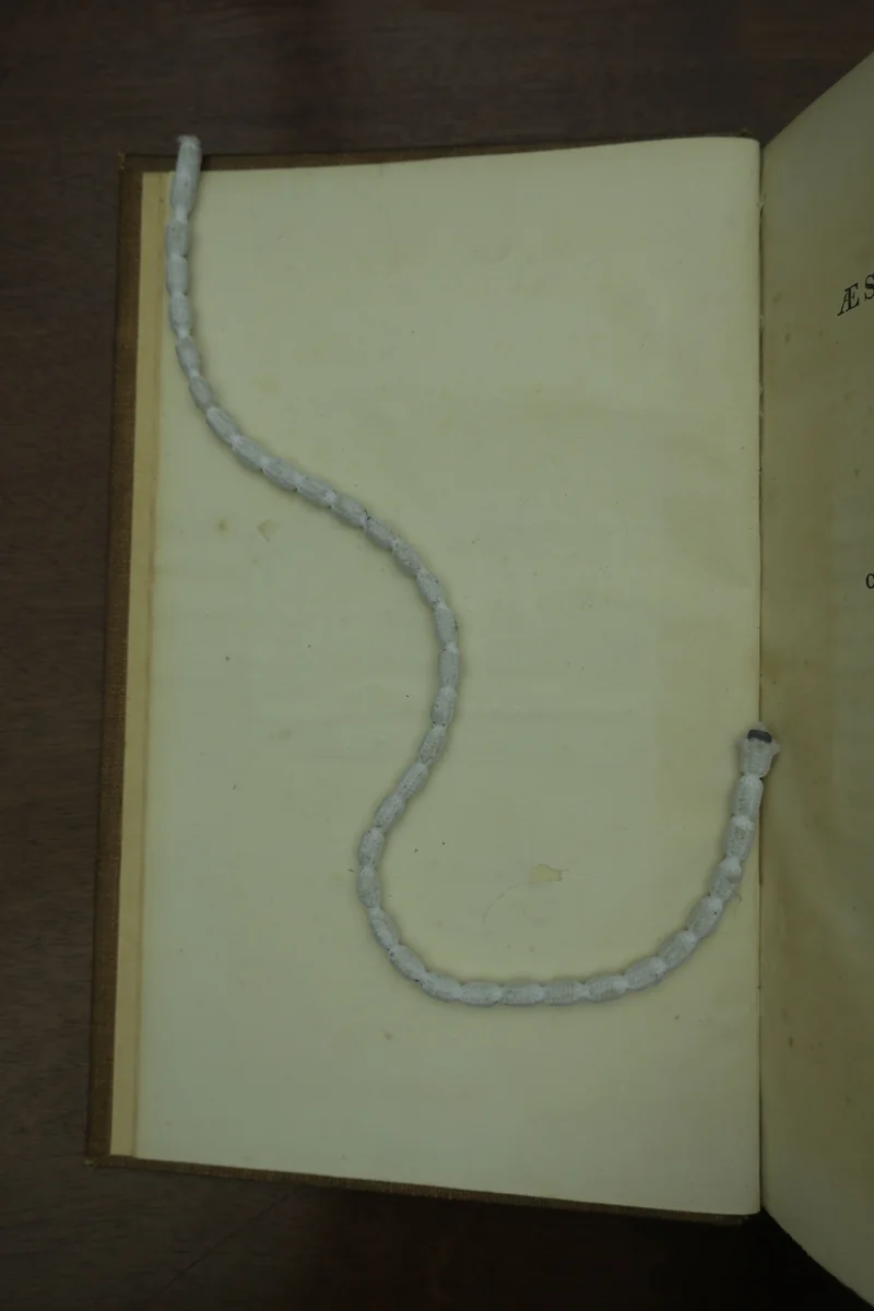 Page verso