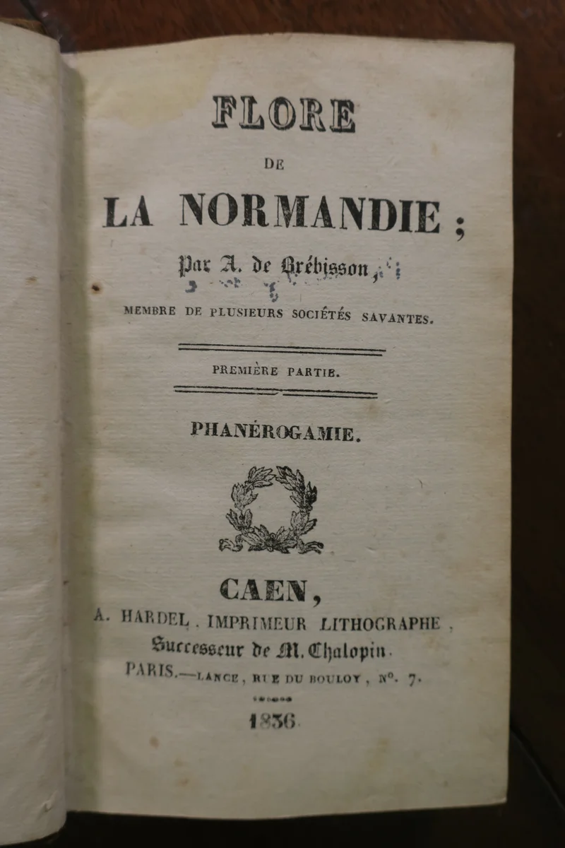 Page recto